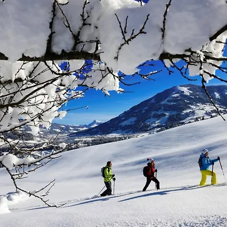 Premium Zentral By Alpine Host Helpers *